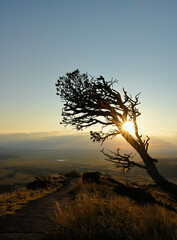 Nature at Volcano park in New Mexico