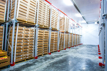 Factory warehouse stock boxes with fruits and vegetables.
