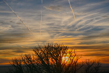 Nature at Volcano park in New Mexico