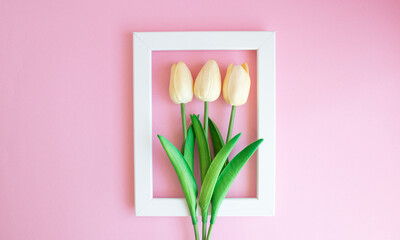 Tulips in white frame on pink background, top view