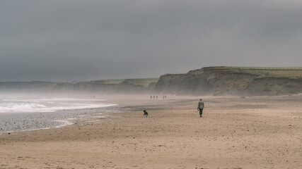 Fototapeta na wymiar Person walking dog on beach