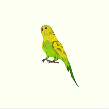 bird parrot polygonal logo vector
