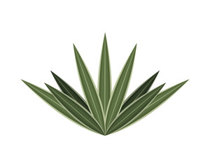 leaves flat icon