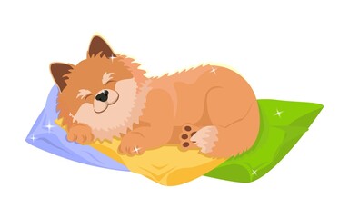Cute dog sleeping sweetly on soft pillows. Kind, cheerful vector illustration in cartoon style. Can be used in design.