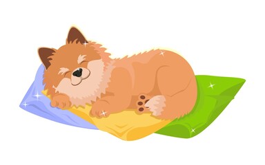 Obraz premium Cute dog sleeping sweetly on soft pillows. Kind, cheerful vector illustration in cartoon style. Can be used in design.