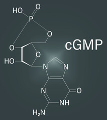 Cyclic guanosine monophosphate or cGMP molecule. Important second messenger, produced by guanylate cyclase, broken down by phosphodiesterase PDE. Skeletal formula.