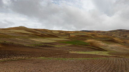 Paisaje en las alturas (landscape in the heights)
