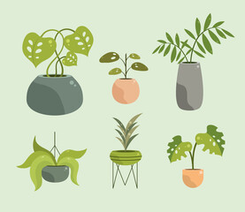 icons collection potted plants