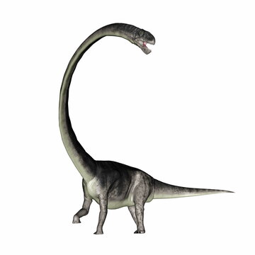 Omeisaurus dinosaur roaring with its long neck - 3D render