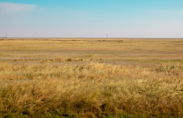 Fototapeta premium Steppe dessert and blue sky in summer day, Kazakhstan
