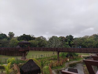 Fototapeta premium bridge over river