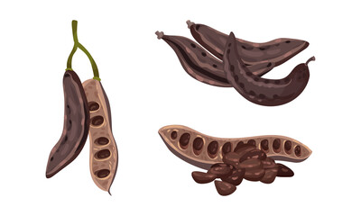 Sweet pods of ripe carob set. Organic healthy food vector illustration - obrazy, fototapety, plakaty
