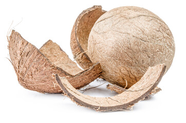 Coconut on a white background cutout