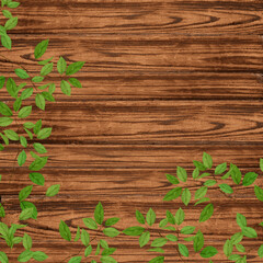 Wooden background. Old vintage brown boards. old fence.  The texture of the tree.