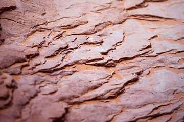 Fototapeta premium Sandstone Textures