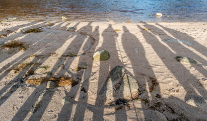 lough shannagh shadows