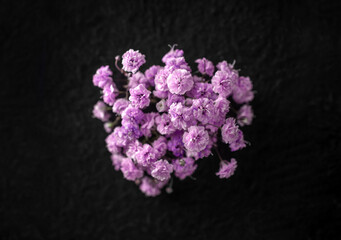 Obraz premium Studio shot of flower on a black background. Macro shoot.