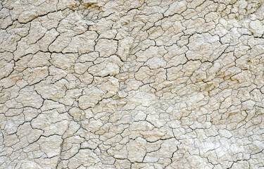 Dry cracked earth texture. Land on a dried lake