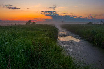River and reeds at dawn..