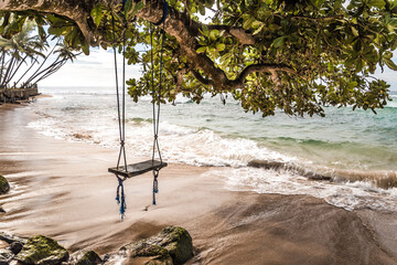 wooden swing board by the beach