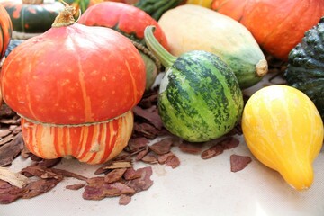 pumpkins and gourds