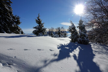 Randonnée en raquettes sur les premières neiges de décembre 2021, sur le plateau du Sornin dans...
