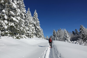 Randonnée en raquettes sur les premières neiges de décembre 2021, sur le plateau du Sornin dans le Vercors en France