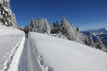 Randonnée en raquettes sur les premières neiges de décembre 2021, sur le plateau du Sornin dans...