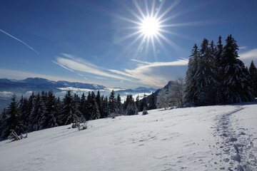 Randonnée en raquettes sur les premières neiges de décembre 2021, sur le plateau du Sornin dans...