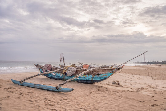 Unconcern Unconcern-Bilder: Stock-Fotos & -Videos. | Adobe Stock