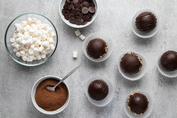 Hot cocoa chocolate ball bomb with marshmallow. Holiday winter drink. Handmade Christmas present.