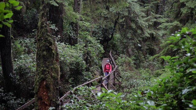 Woman walking on boardwalk in a forest