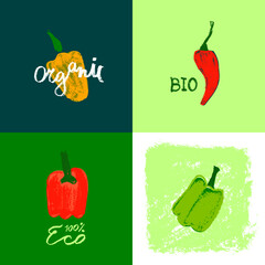 Color bell peppers. Calligraphy hand drawn illustration. Whole pod paprika pepper drawing. Organic vegetable sign. Vegan food symbols. Healthy eat icons. Vegetarian doodles for eco market, bio product