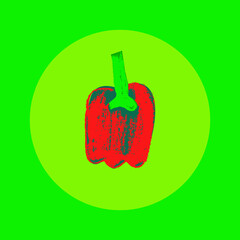 Red bell pepper. Calligraphy hand drawn illustration. Whole pod Bulgarian pepper drawing. Organic vegetable sign. Vegan food symbol. Healthy eat icon. Vegetarian doodle for eco market, bio products.