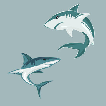 Danger Shark Design Logo Icon