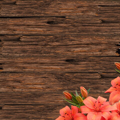 Wooden background. Old vintage brown boards. old fence.  The texture of the tree.