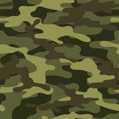 seamless camouflage. print on clothes or print. vector.
