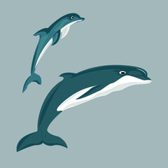 Fototapeta premium Dolphin Illustration Dolphin In Cartoon 