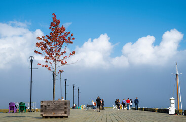 a dock with a wooden deck on the Halifax waterfront. Canada