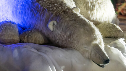Christmas animation of lying polar bear, in the night city, close up