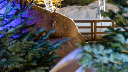 Christmas animation of lying polar bear, in the night city, close up