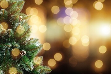 Beautiful green Christmas tree on bokeh background