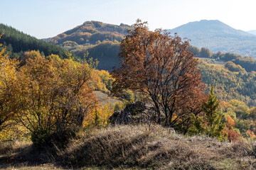 Naklejka premium Autumn Landscape of Erul mountain near Kamenititsa peak, Bulgaria