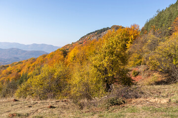 Autumn Landscape of Erul mountain near Kamenititsa peak, Bulgaria