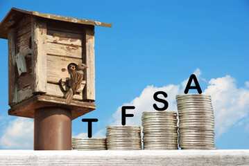 Money saving concept for TFSA investment with stacked coins next to birds house