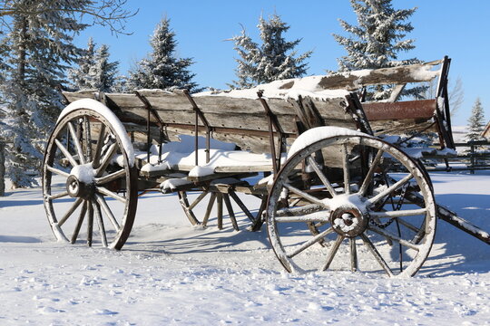 A winter themed outdoor rural scene of an old weathered wagon covered in snow with a clear blue sky in the background.