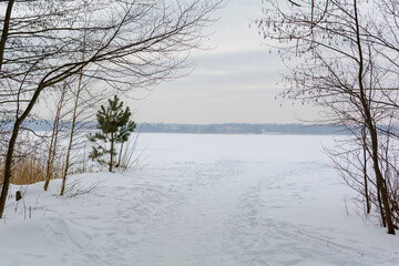 Fototapeta na wymiar Minimalistic tranquil landscape with the lake has frozen hard, surrounded by naked trees. Natural background. Minimalist style scenic aerial view. Calm tones in minimalist photography.