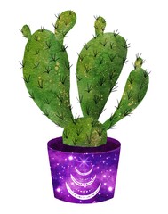 Celestial cactus clip art illustration in flowerpot with stars and cosmos pattern. Bright watercolor succulent isolated on white. Handdrawn prickly green house plant for mystic astrology design.