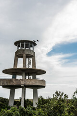 Two vultures landing on the roof of the observation tower in Shark Valley