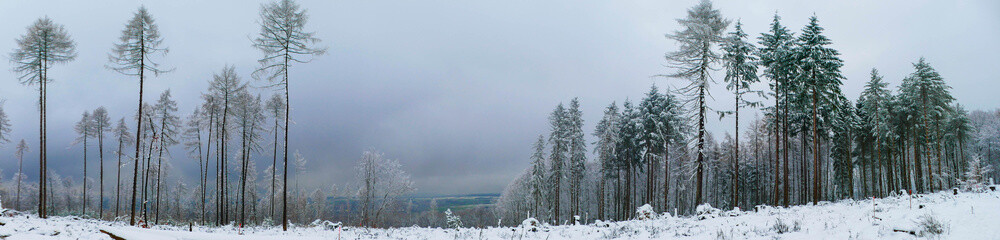 Panorama Nebelige Winterlandschaft
